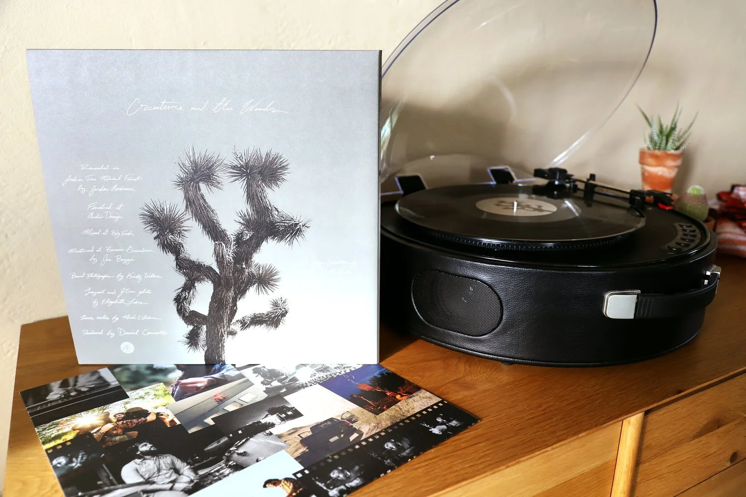 night-owl レコード2枚 Music — Blind Owl
